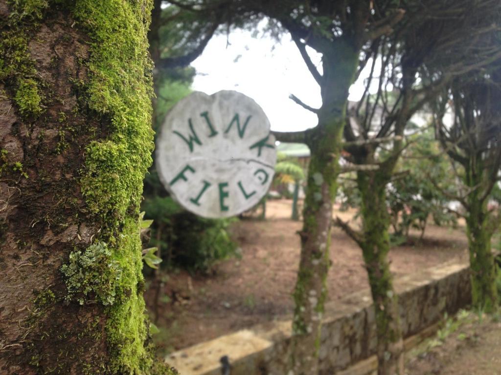 Winkfield Hostel 努沃勒埃利耶 外观 照片