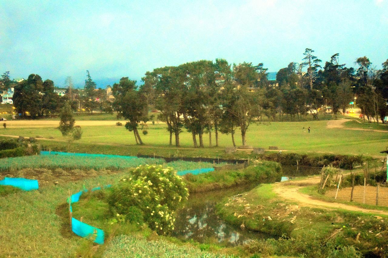 Winkfield Hostel 努沃勒埃利耶 外观 照片