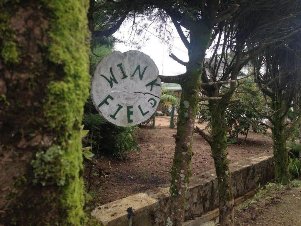 Winkfield Hostel 努沃勒埃利耶 外观 照片